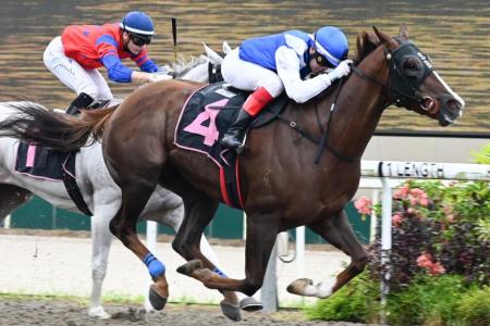 Ejaz goes for 2nd shot at Polytrack