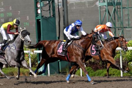 Ejaz wins at first 1,000m test