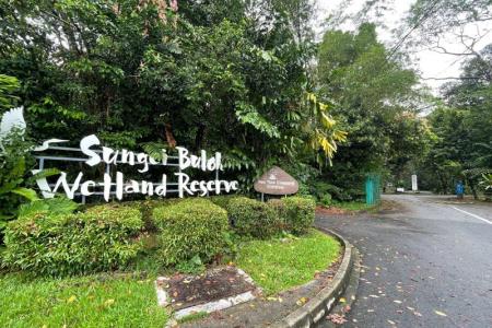 5 taken to hospital after hornet attack at Sungei Buloh