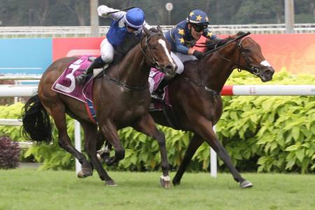 Lim's Saltoro wins Singapore Derby