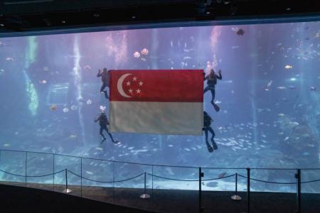 Singapore's 59th birthday and other exciting happenings