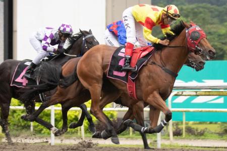 Saifudin has wild card in Sabah Ace