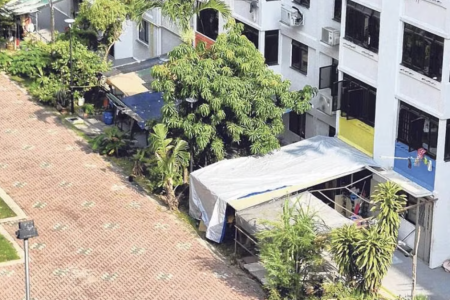 Ground-floor residents put up awnings as shield from litter