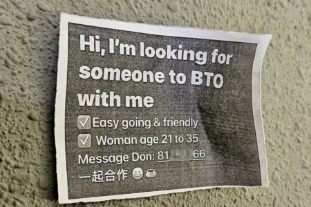 Man can't get girlfriend, so he looks for BTO partner