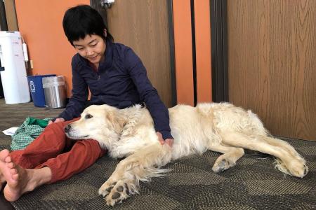 Fur Folks Home – Singapore's first sanctuary for ageing, ill pets