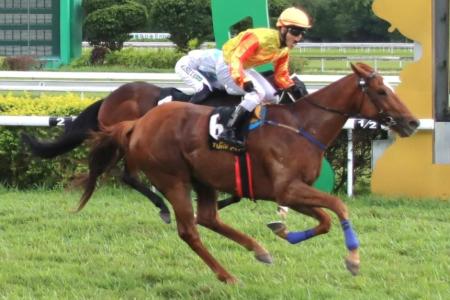 Coronation Cup upset in Ipoh