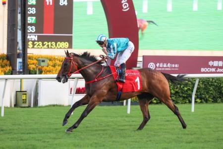 Romantic Warrior imperious in Cup prelude