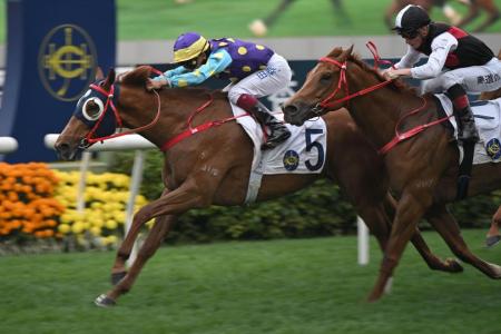 Nov 27 Hong Kong (Happy Valley) form analysis