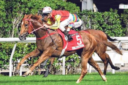 Dec 11 Hong Kong (Happy Valley) form analysis