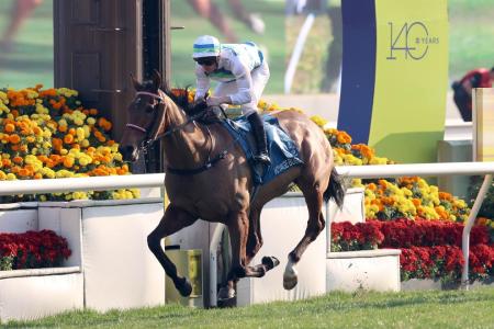 Group 1 wins for Voyage Bubble, Ka Ying Rising again