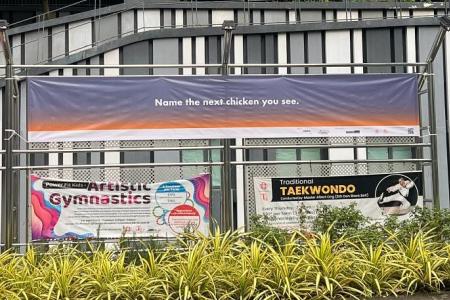 2 Art Museum banners in Tg Pagar replaced after complaints