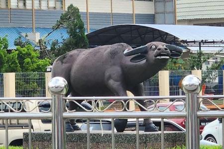 This buffalo statue went viral online for its stunned expression