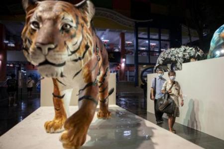 Chinatown roars into Chinese New Year with tiger light-up