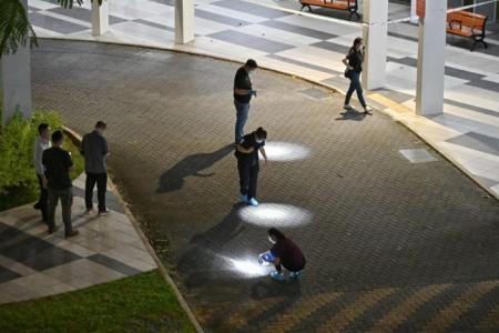 Man, 50, charged with murdering grassroots volunteer in Clementi