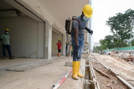 Singapore's weekly dengue count expected to hit new peak, may surpass 2,000 cases