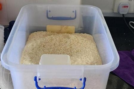 Facebook user offers weevil-infested rice as donation, draws flak from netizens