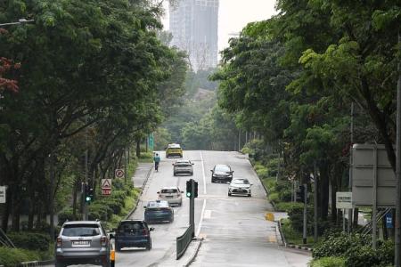 Roads in Tanglin, Dawson to be extended, widened for developments