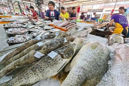 Garoupa may be scarce in M'sia as supply falls amid rains