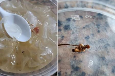 Catering firm Sakura Buffet’s licence cancelled after reports of mouldy food, meals with hair and insects