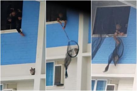 40 residents evacuated in Bedok HDB fire, cat rescued from 10th storey ledge
