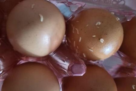 Maggots found in carton of eggs bought from Yishun minimart