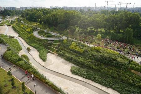 Concrete canal in Tampines turned into naturalised waterway in third such project 