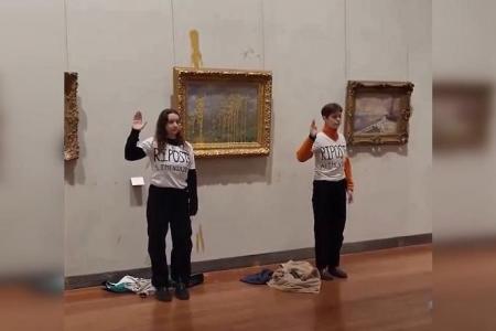 Activists throw soup at a Monet painting in Lyon museum
