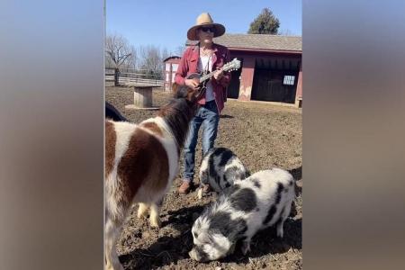 Kevin Bacon, Kyra Sedgwick serenade farm animals 