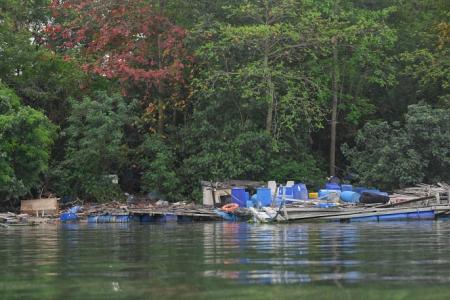 Fish farm structures strewn along shoreline of Pulau Ketam