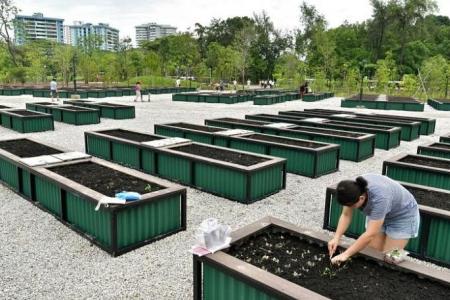 187 new gardening plots open for application from Feb 21