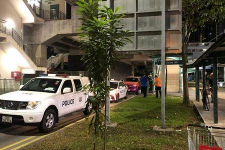 33-year-old woman found dead on LRT track at Cove station in Punggol East