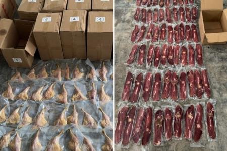 Wholesaler, manager fined for illegal import of meat products