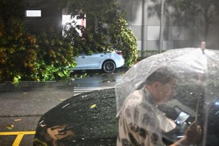 Strong winds, heavy rain batter Singapore