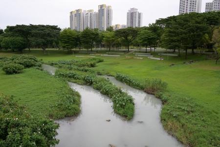 White liquid turns Bishan-Ang Mo Kio Park river cloudy