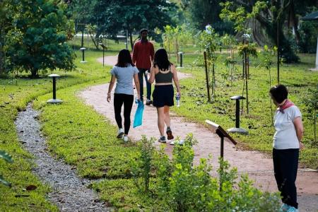 New coastal trail opens at Labrador Nature Park