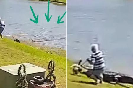 ‘The gator has me’: Horrifying video shows how alligator attack on 85-year-old in Florida unfolded 