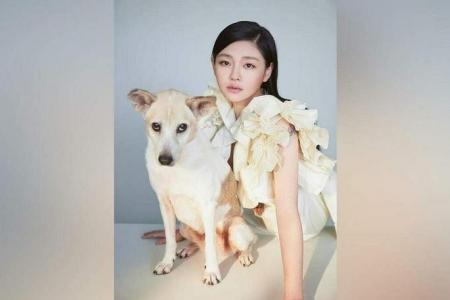 Taiwanese actress Barbie Hsu reveals she had two miscarriages