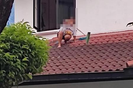 MOM investigating case where maid was seen cleaning roof of Bukit Timah house