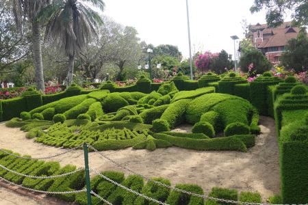 The Thiruvananthapuram Zoo is the oldest zoo in India