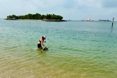 Tanjong Beach on Sentosa reopens for water activities 