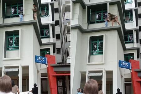 Boy, 3, on HDB ledge: Woman assisting with police investigations