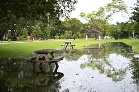 Seasonal high tides flood Pulau Ubin, stretches along East Coast Park over the weekend