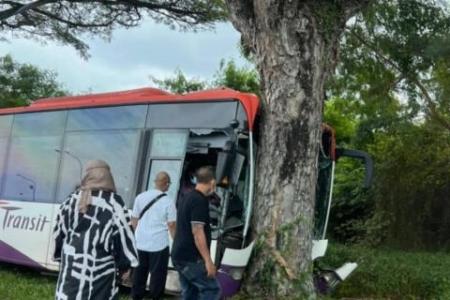 Six people injured as bus crashes into tree on TPE slip road; driver suspended