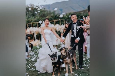 Hong Kong actress Jacqueline Wong ties the knot four years after cheating scandal