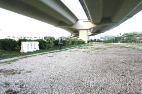 The victim, a heavily intoxicated woman, was led to a field under the Tuas Viaduct.