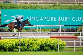 The 100th Grand Singapore Gold Cup will be held on Oct 5 in the last race meeting before the club shuts its doors. 