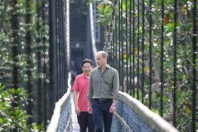 Britain’s Prince William with DPM Lawrence Wong on the TreeTop Walk at Windsor Nature Park, on Nov 8, 2023.