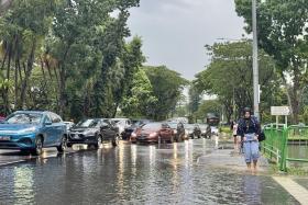 Several places including Dunearn Road, Bukit Timah Road near King Albert Park, and Balmoral Road were inundated with floods on Dec 29.