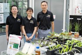 (From left) Dr Gu Keyu, lecturer; Ms Tan Kaye Teng, research assistant; and Dr Heng Kiang Soon, lecturer at Republic Polytechnic&#039;s School of Applied Science.