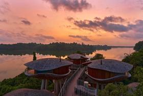 Designed to resemble the seed pods of the Purple Millettia, these treehouses overlook Upper Seletar Reservoir.